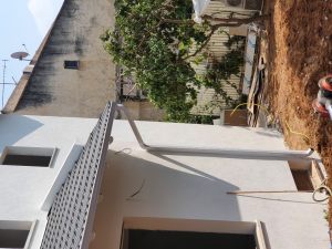 20200901_142901 (Medium)